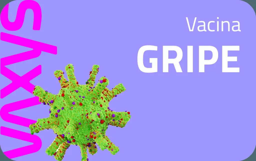 vacina gripe influenza — BR news