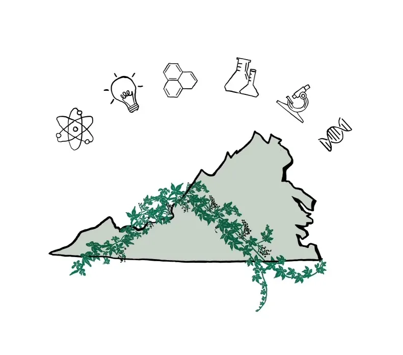 virginia — BR news