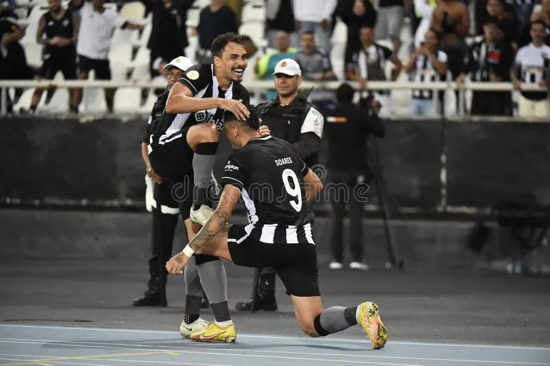 botafogo x coritiba — BR news
