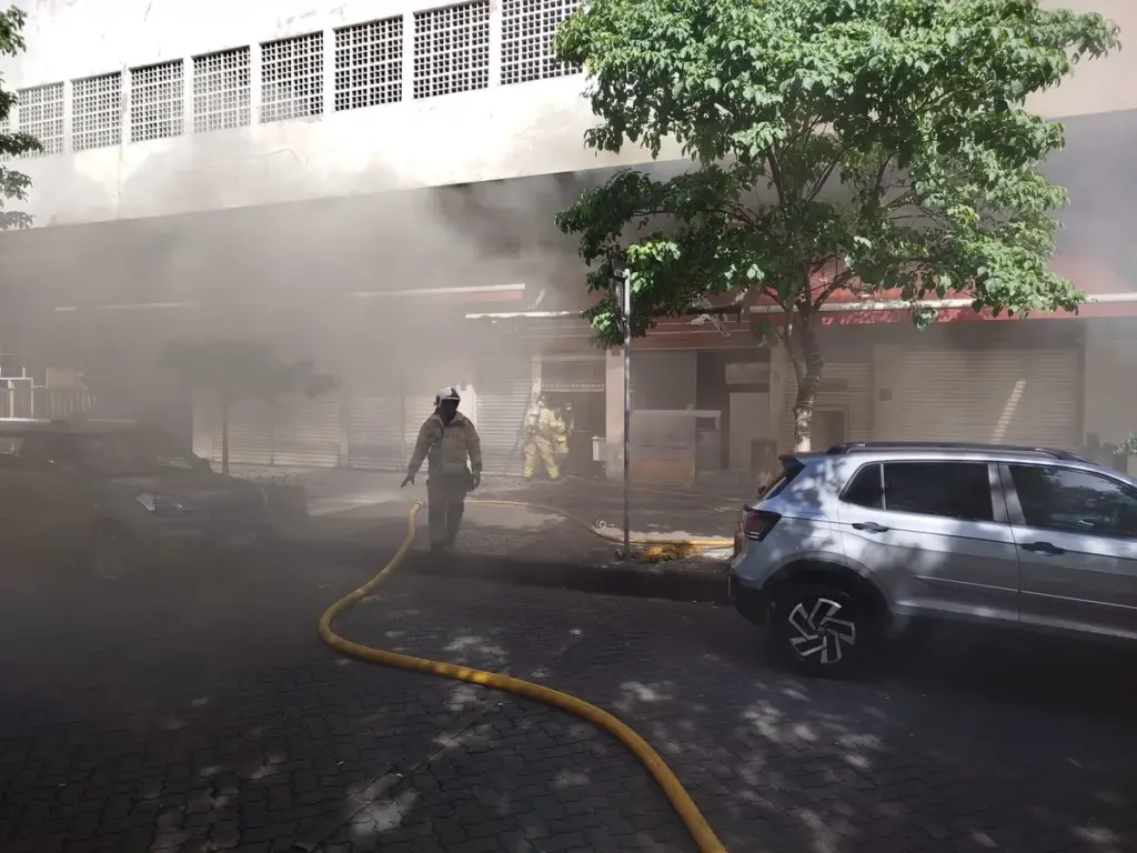 botafogo — BR news