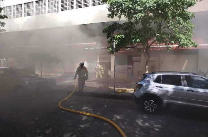 botafogo — BR news