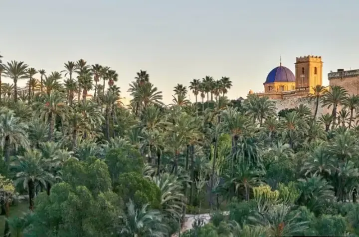 elche — BR news