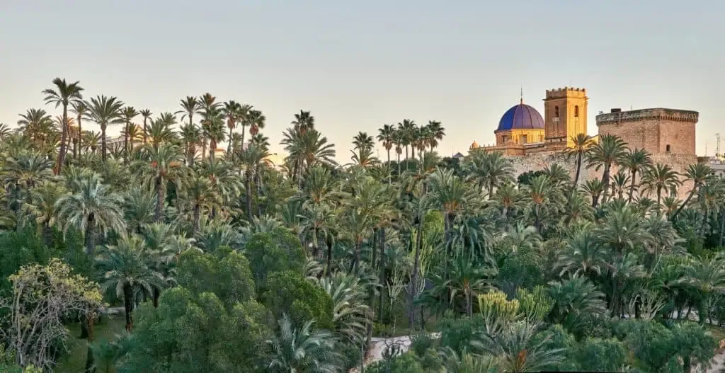 elche — BR news