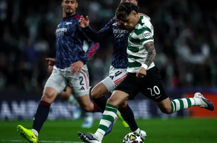 estrela amadora x sporting — BR news
