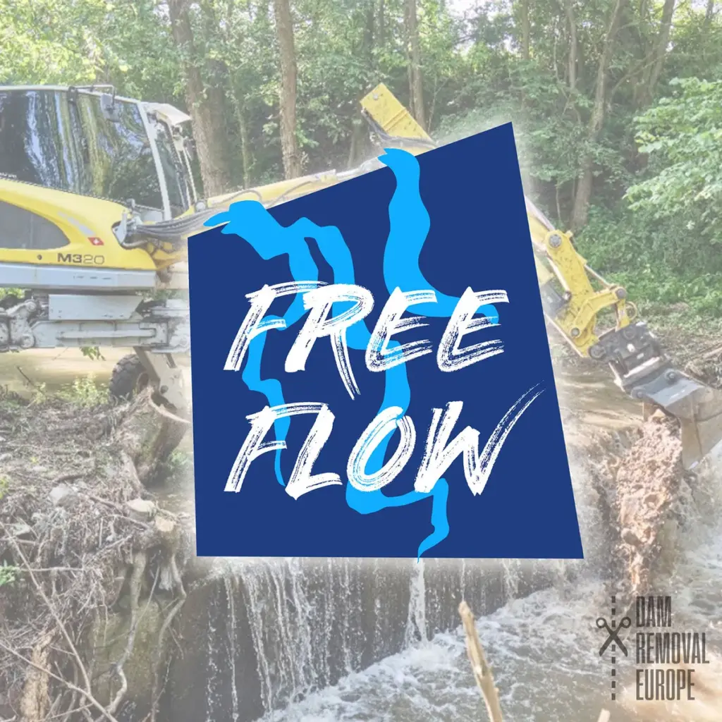free flow — BR news