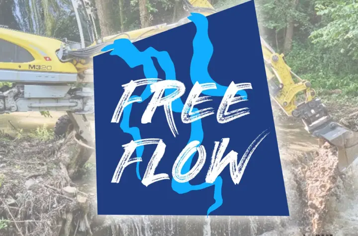 free flow — BR news