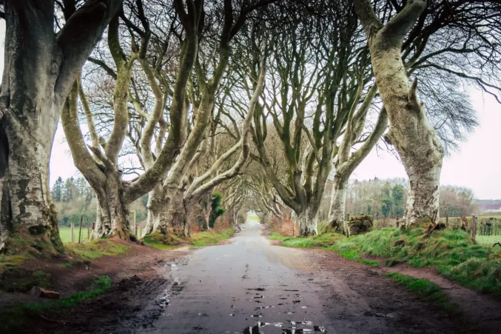 gales x irlanda do norte — BR news