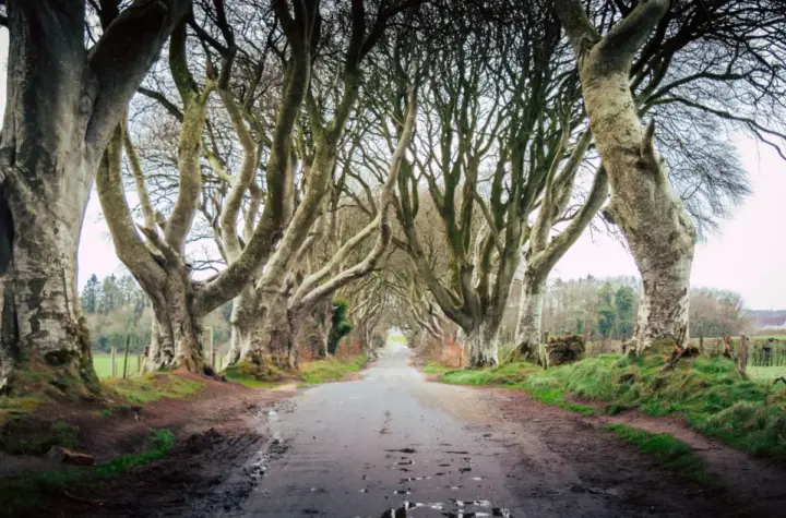 gales x irlanda do norte — BR news