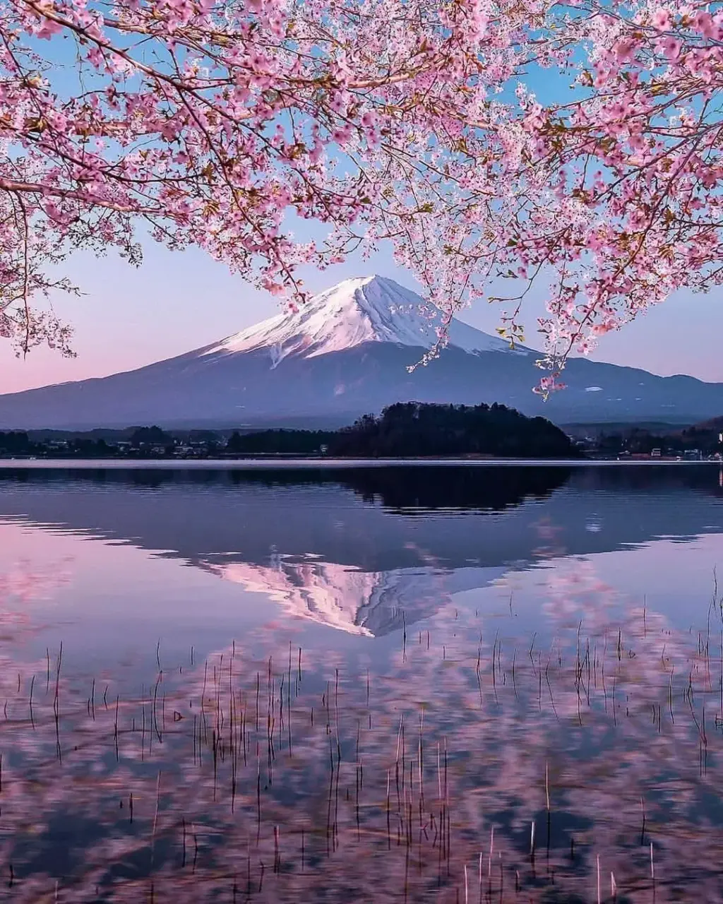 japão — BR news