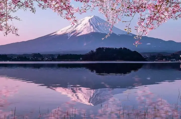 japão — BR news