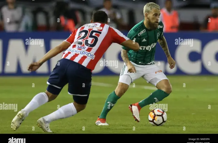 junior x palmeiras — BR news
