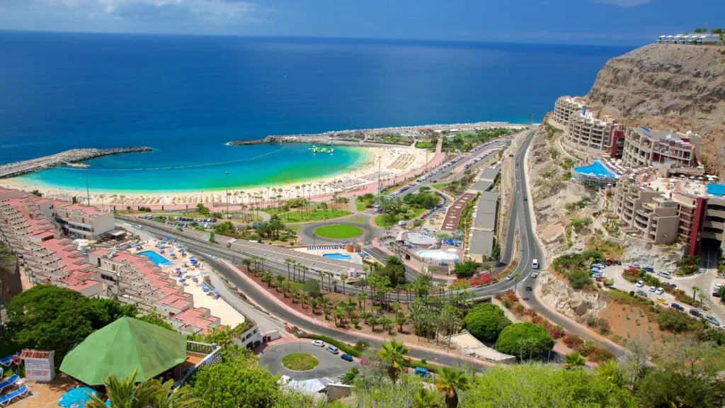 las palmas — BR news