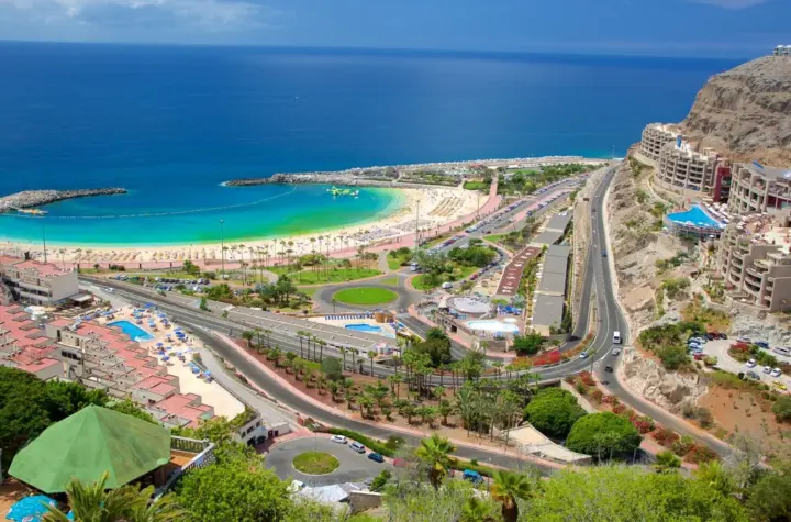 las palmas — BR news