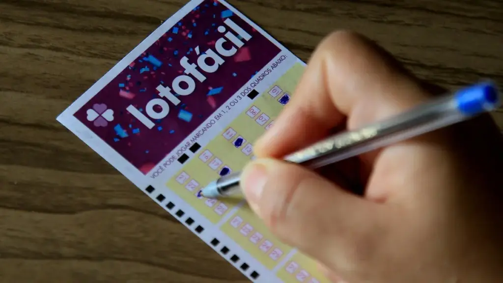lotofacil 3653 — BR news