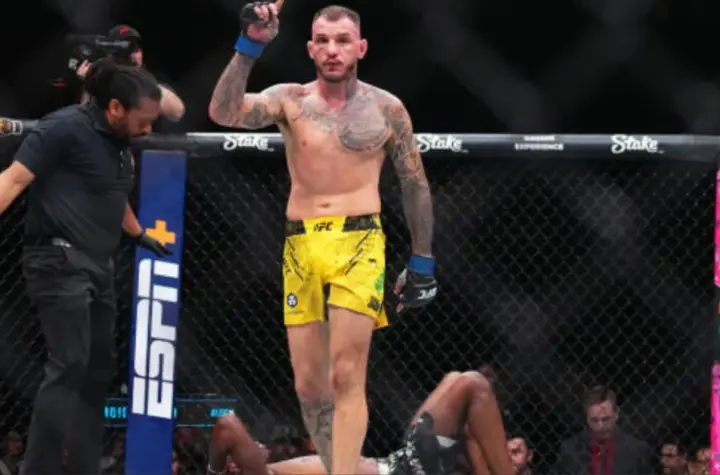 moicano ufc — BR news