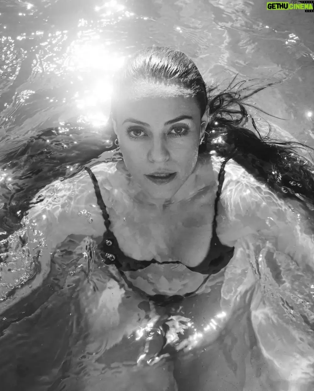 paolla oliveira — BR news