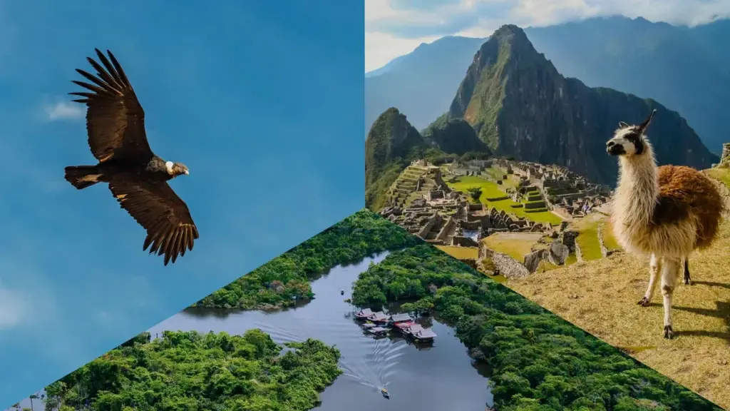 peru — BR news