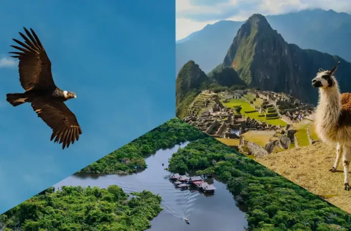 peru — BR news
