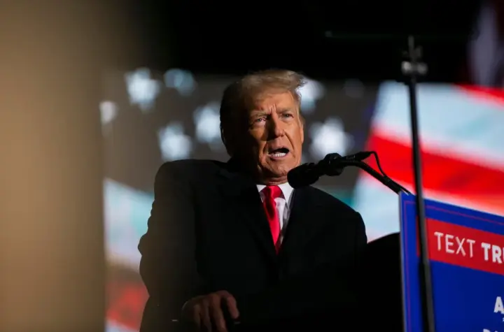 the trump organization — BR news