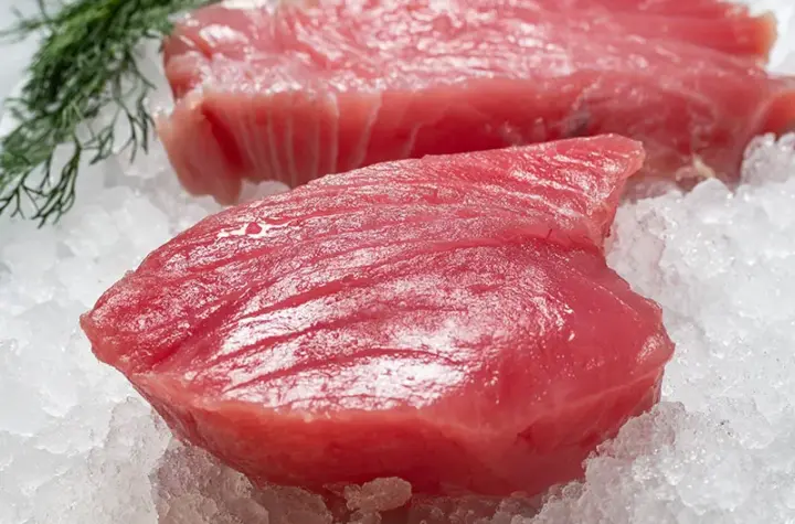 trem x tuna — BR news