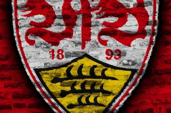 vfb stuttgart x borussia — BR news