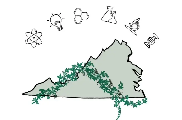 virginia — BR news
