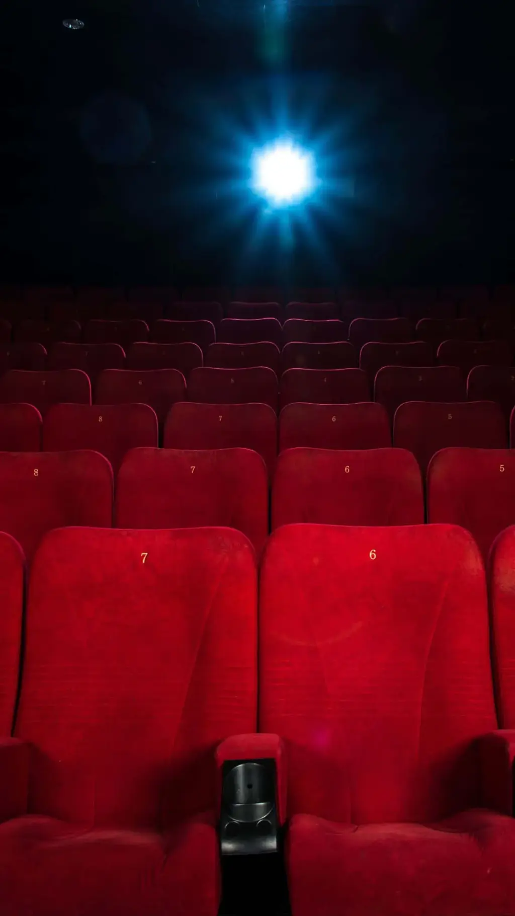 cinema — BR news