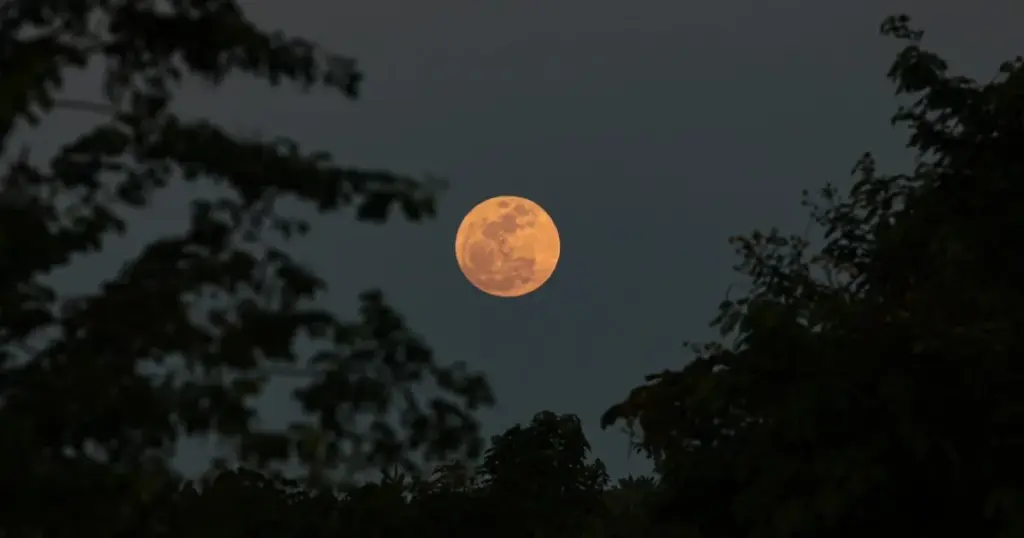 lua cheia — BR news