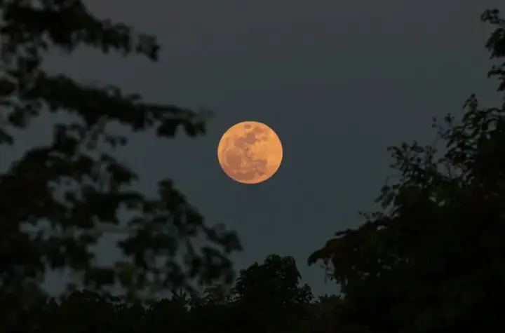 lua cheia — BR news