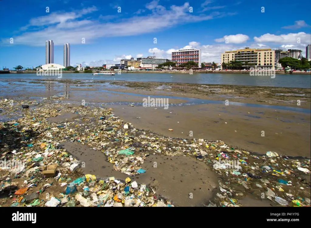 rio capibaribe — BR news
