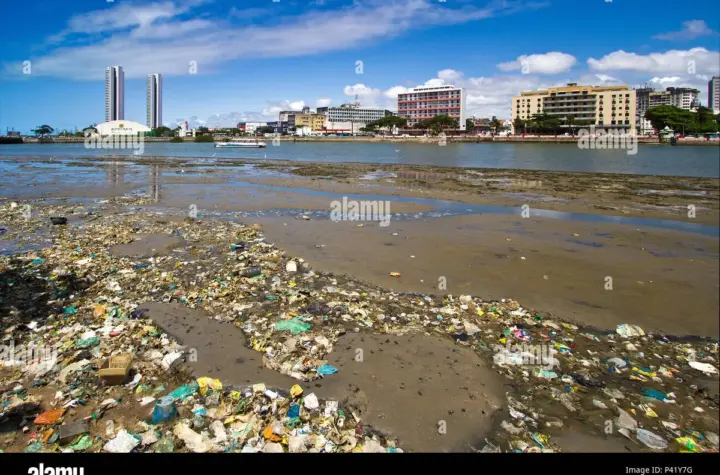 rio capibaribe — BR news