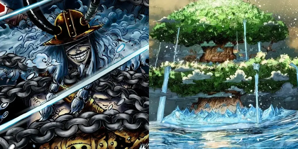 the one piece — BR news