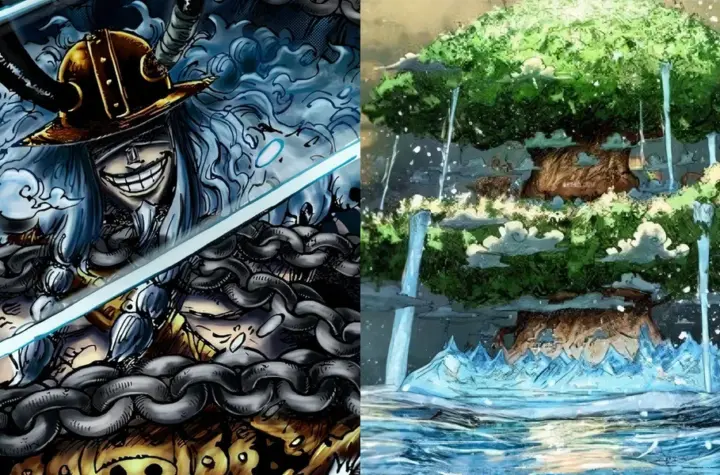the one piece — BR news