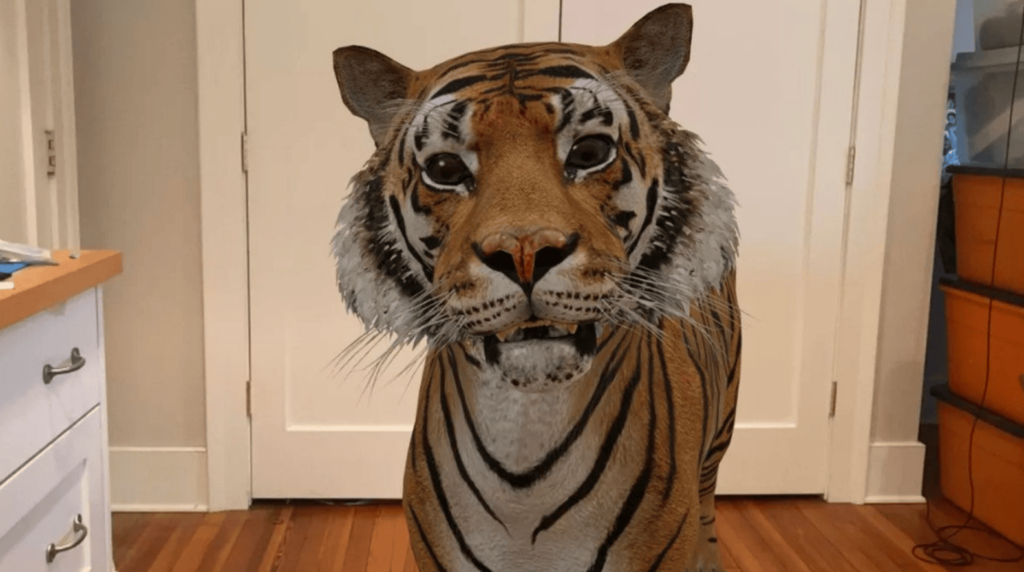 Animais em 3d Google para ver modelos em realidade aumentada image 1