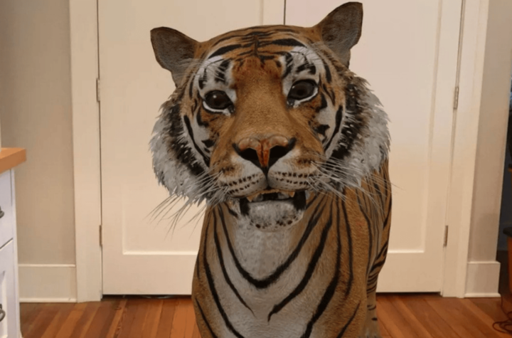 Animais em 3d Google para ver modelos em realidade aumentada image 1